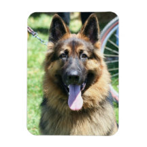 German Shepherd flexible photo magnet
