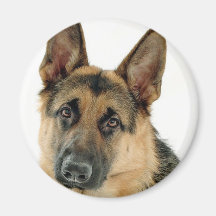 German Shepherd Fridge Magnet