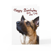 German Shepherd fromthedog1 Greeting Card