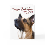 German Shepherd fromthedog1 cards
