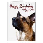 German Shepherd fromthedog1 Greeting Card