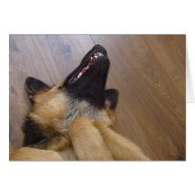 German Shepherd Greeting Card