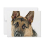 German Shepherd invitations