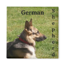 German Shepherd Magnet