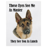 German Shepherd Master flyers