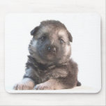 German Shepherd Mouse Pads