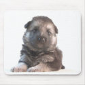 German Shepherd mousepads