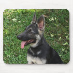German Shepherd Mousepad