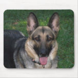 German Shepherd Mousepad