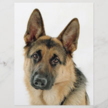 German Shepherd Personalized Flyer