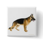 German Shepherd Pin buttons