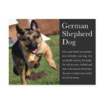 German Shepherd Postcard