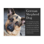 German Shepherd Postcard