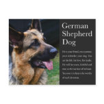 German Shepherd Postcard