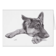 German Shepherd Postcard