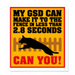 German Shepherd Poster posters