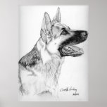 German Shepherd Profile Print
