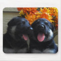 German Shepherd Puppies Mouse Pad mousepads