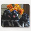 German Shepherd Puppies mousepads