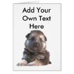 German Shepherd Puppy cards