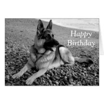 German Shepherd  Puppy Dog  Happy Birthday Card