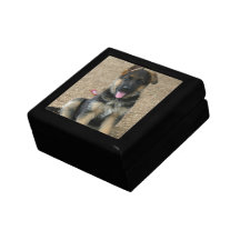German Shepherd Puppy Gift Box