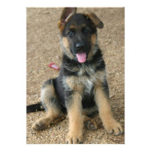 German Shepherd Puppy Invitation