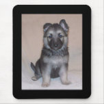 German Shepherd Puppy Mousepads