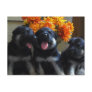 German Shepherd Puppy Postcard