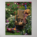 German Shepherd Pups Poster Garden posters
