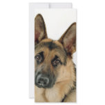 German Shepherd rack cards