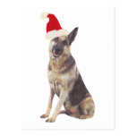 German Shepherd Santa Hat Post Cards