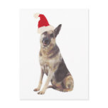 German Shepherd Santa Hat
