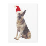 German Shepherd Santa Hat Post Cards