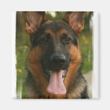 German Shepherd Square Magnet