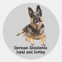 German Shepherd Stcker Stickers