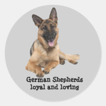 German Shepherd Sticker