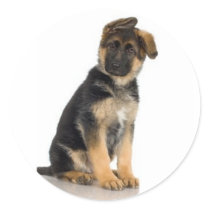 German Shepherd Stickers