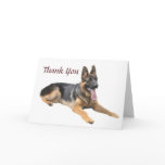 German Shepherd Thank You Card