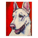 German Shepherd- White Postcards