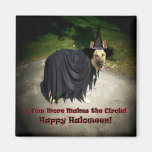German Shepherd Witch Dog Magnets