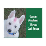 German Shepherds Always Look Tough