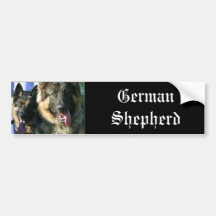 German Shepherds bumper sticker