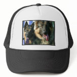 German Shepherds cap hats
