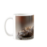German Short-Haired Pointer - Holly Mug