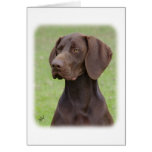 German Shorthaired Pointer AA004D-019 Greeting Cards