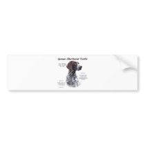 German Shorthaired Pointer History Design