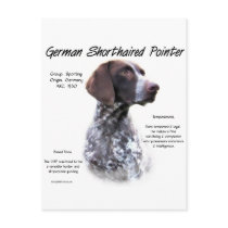 German Shorthaired Pointer History Design