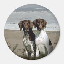German Shorthaired Pointer Magnet