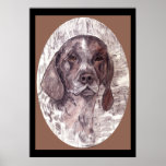 German Shorthaired Pointer Poster posters